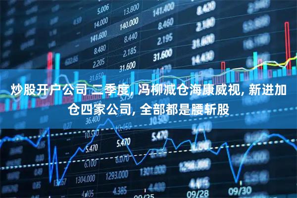 炒股开户公司 二季度, 冯柳减仓海康威视, 新进加仓四家公司, 全部都是腰斩股