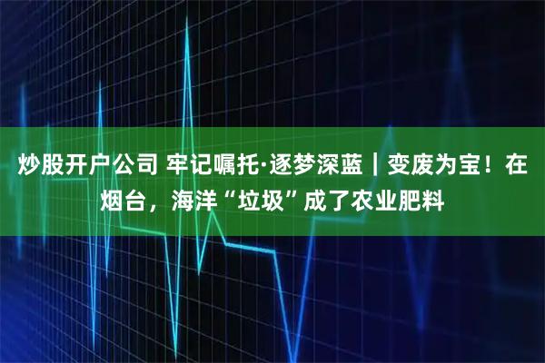 炒股开户公司 牢记嘱托·逐梦深蓝｜变废为宝！在烟台，海洋“垃圾”成了农业肥料